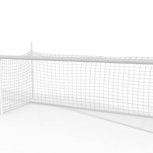 In Ground Goals