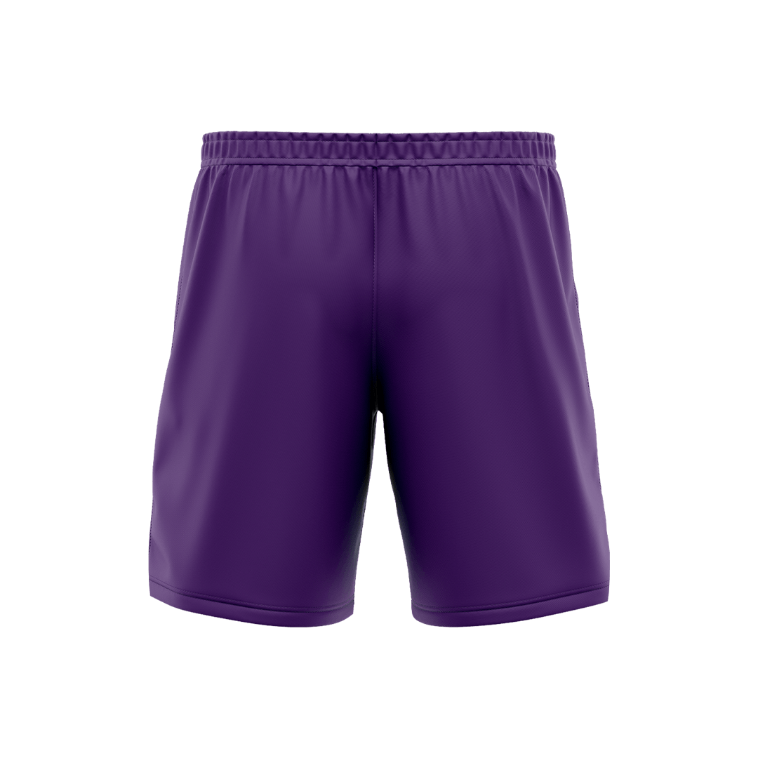 Apex Shorts - Purple