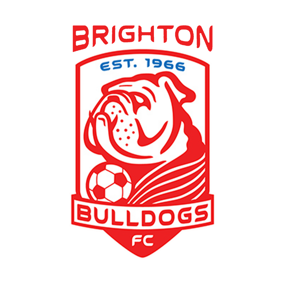 BRIGHTON BULLDOGS FC - CLUB BEANIE