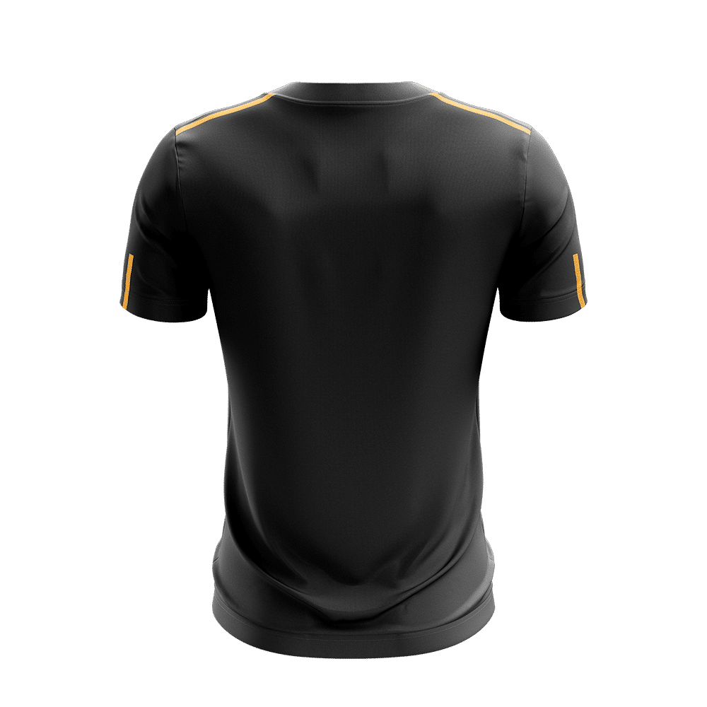 Phoenix Jersey - Black / Gold