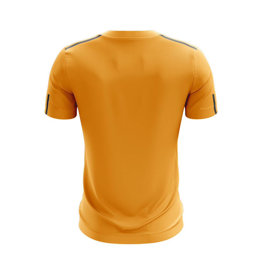 Phoenix Jersey - Gold / Black