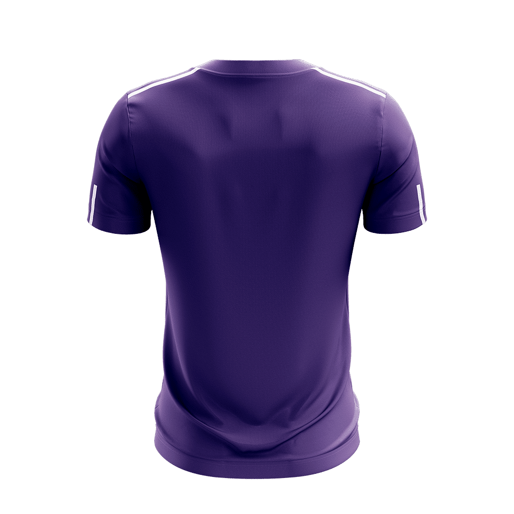 Phoenix Jersey - Purple / White