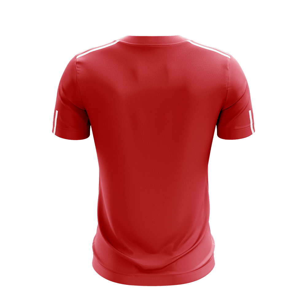 Phoenix Jersey - Red / White