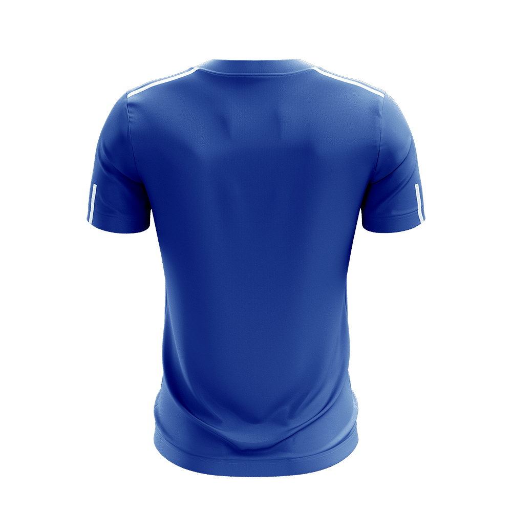 Phoenix Jersey - Royal / White