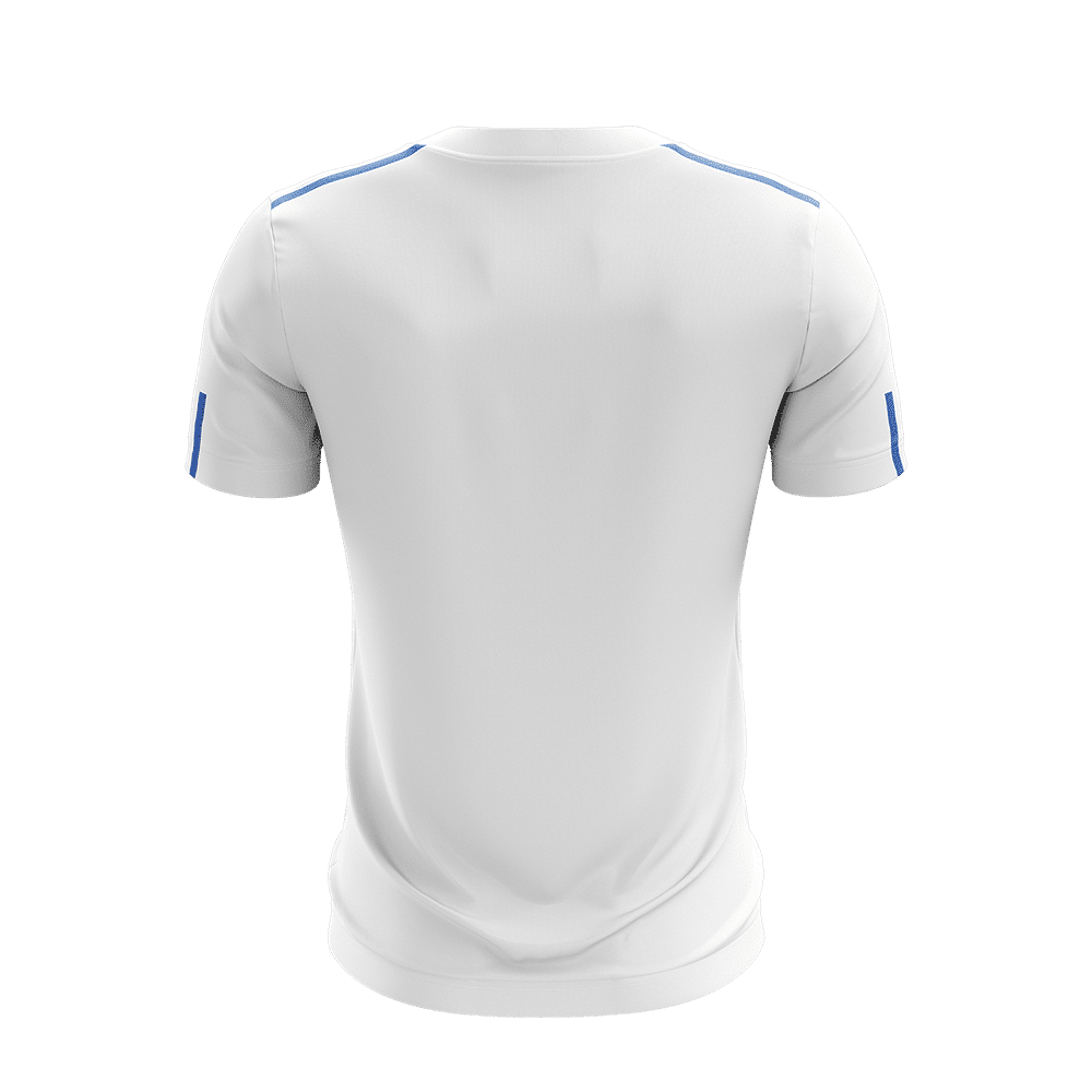 Phoenix Jersey - White / Royal