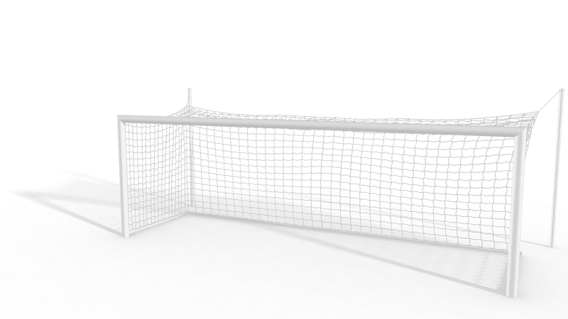 IN-GROUND GOALS