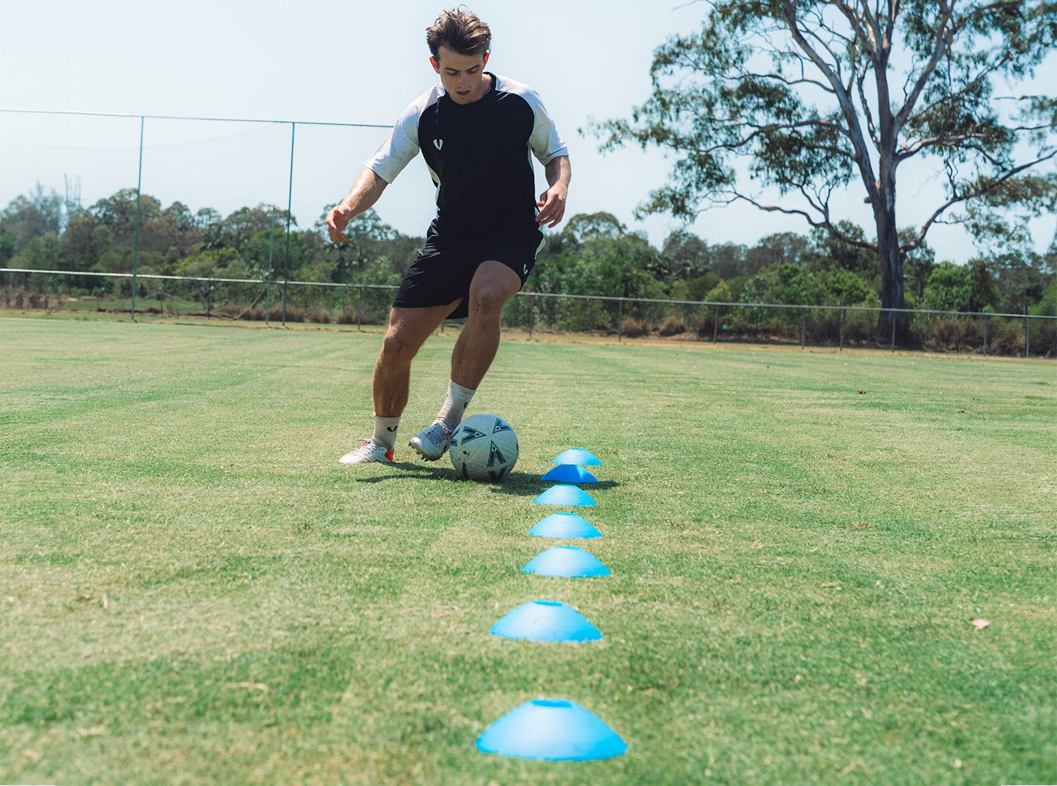 Disc Cones - set of 50 - Image 3