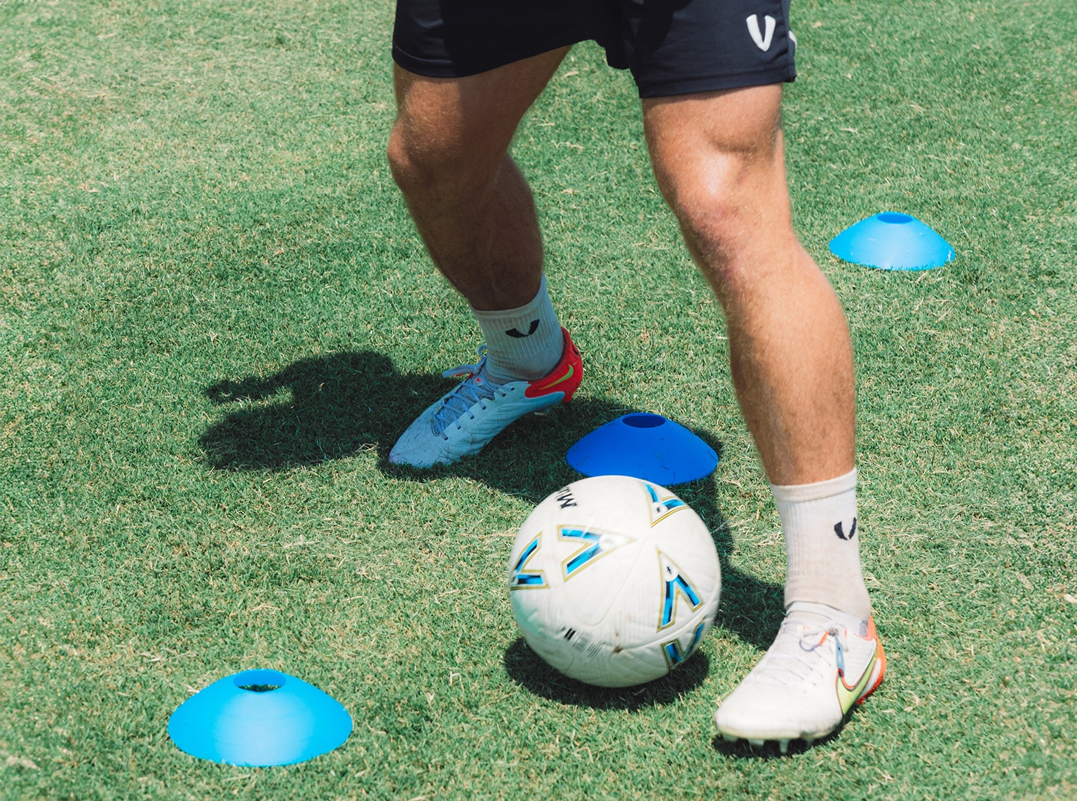 Disc Cones - set of 50 - Image 4